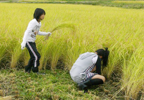 長野県フローラ戸狩の農業体験